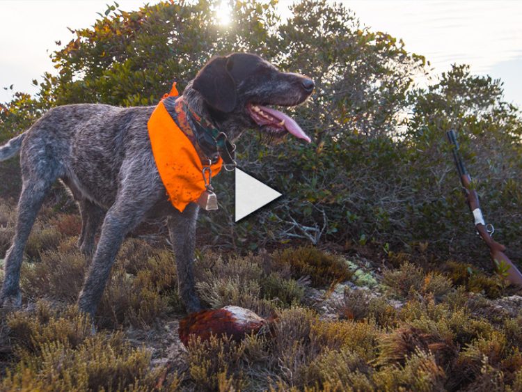 Cape Cod Cast and Blast