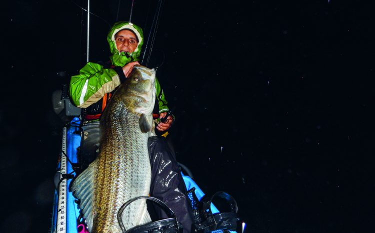 kayak fishing for stripers at night