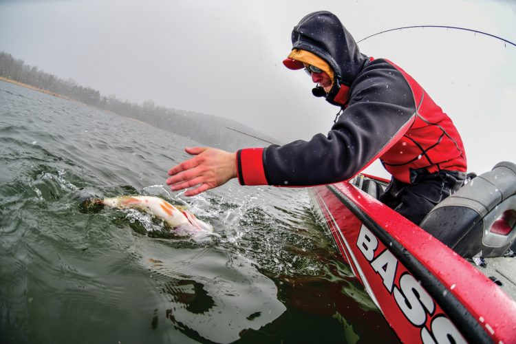 big early-spring largemouth bass