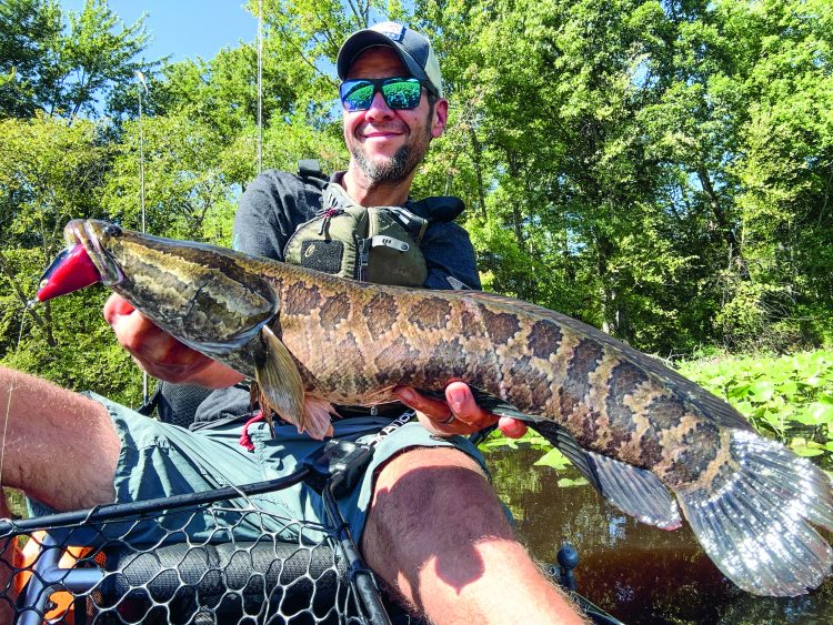 kayak fishing for snakeheads