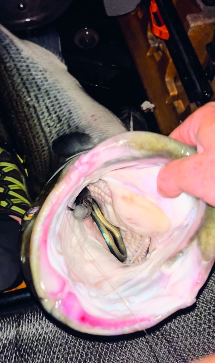 kayak fishing for stripers at night