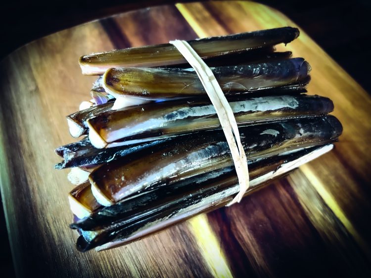 razor clams