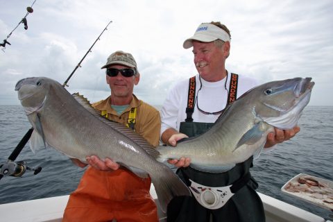 Help Improve Tilefish Management