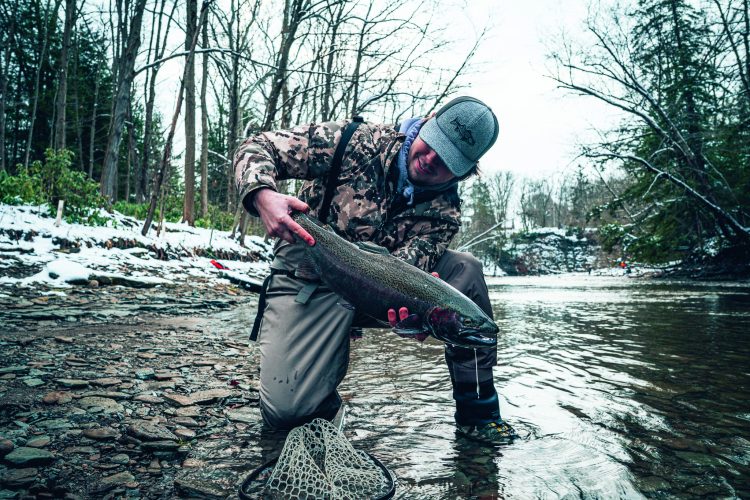 early-spring steelhead