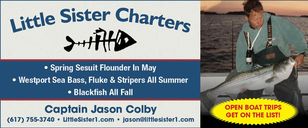 Little Sister Charters