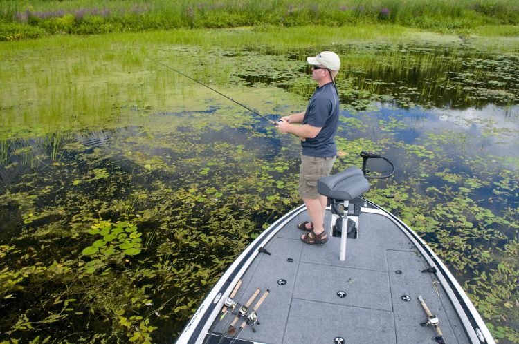 bass fishing without forward-facing sonar
