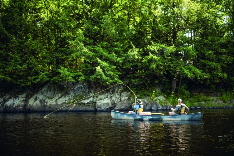 Penobscot River smallmouth