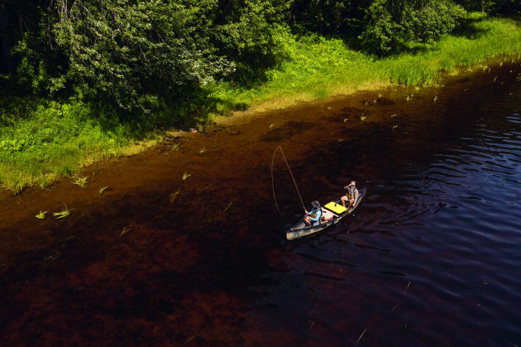 Penobscot River smallmouth
