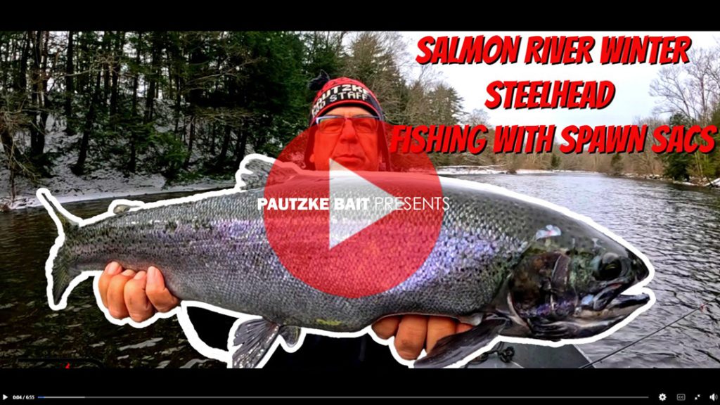 Salmon River Steelhead video