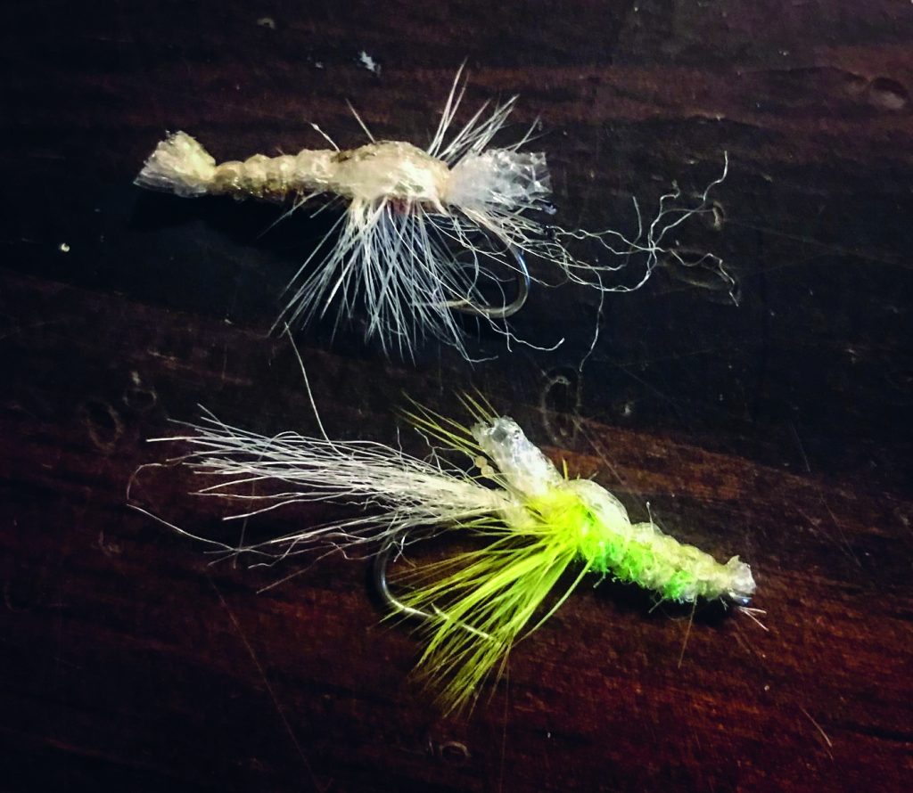 flies for weakfish from shore