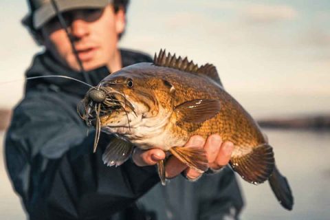 Four Baits to Break Your Personal Best