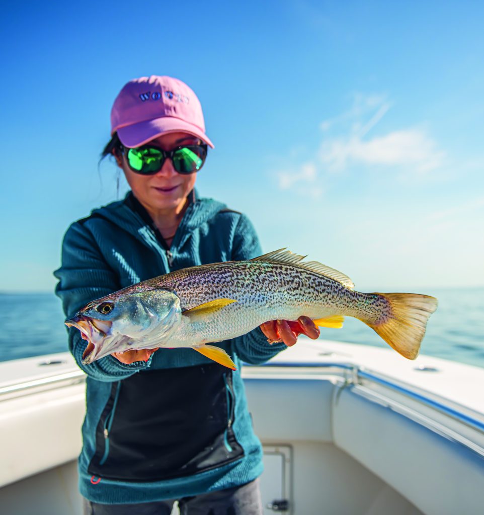 how to catch weakfish from shore
