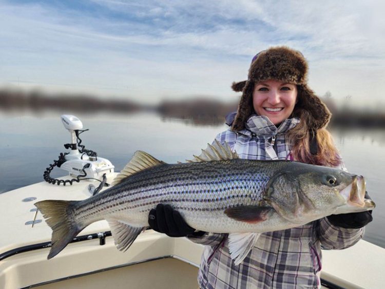 Get Tight Sportfishing holdover striped bass