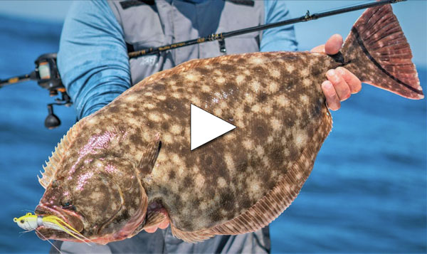 Nantucket Shoals Fluke