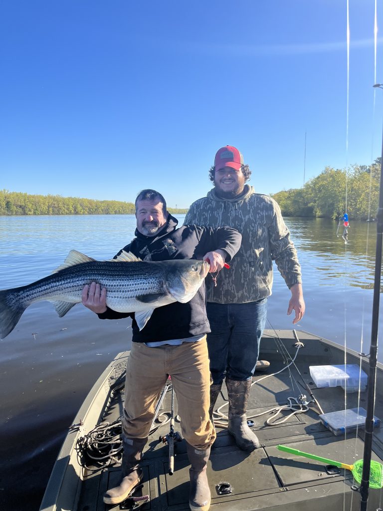 spring run stripers on the Hudson 