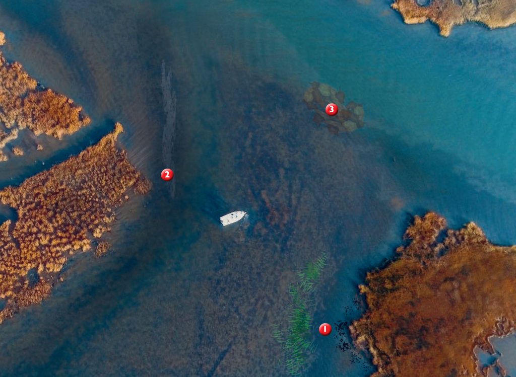 weightless soft-plastics for stripers on cinder worms