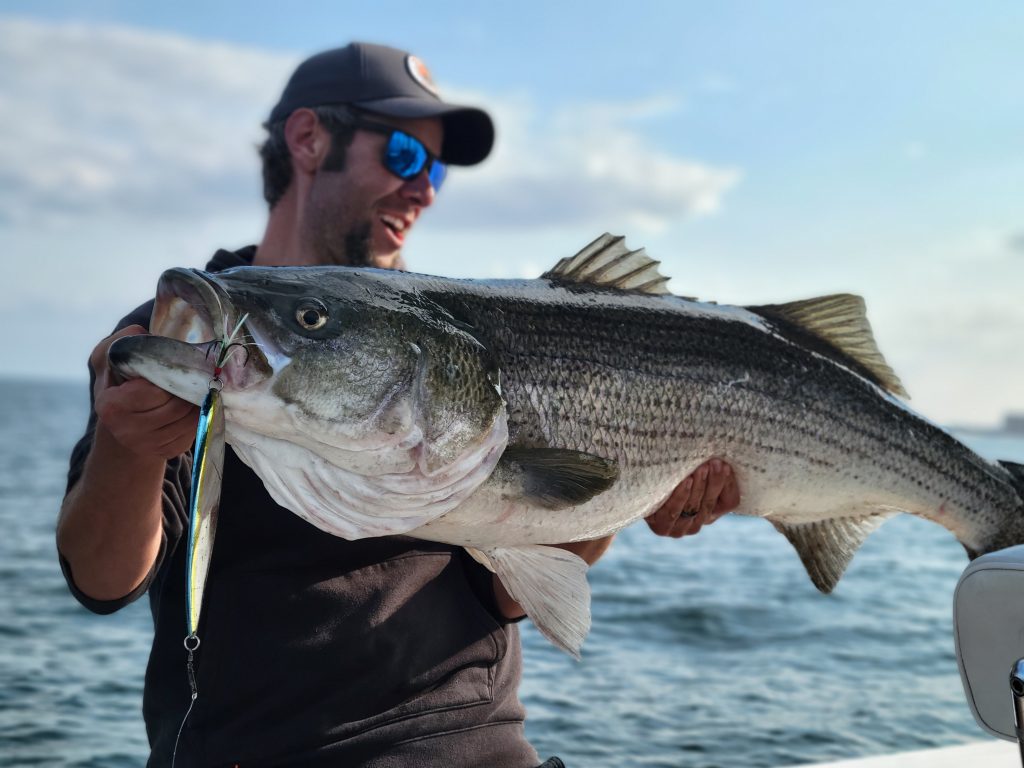 striper fishing with spoons