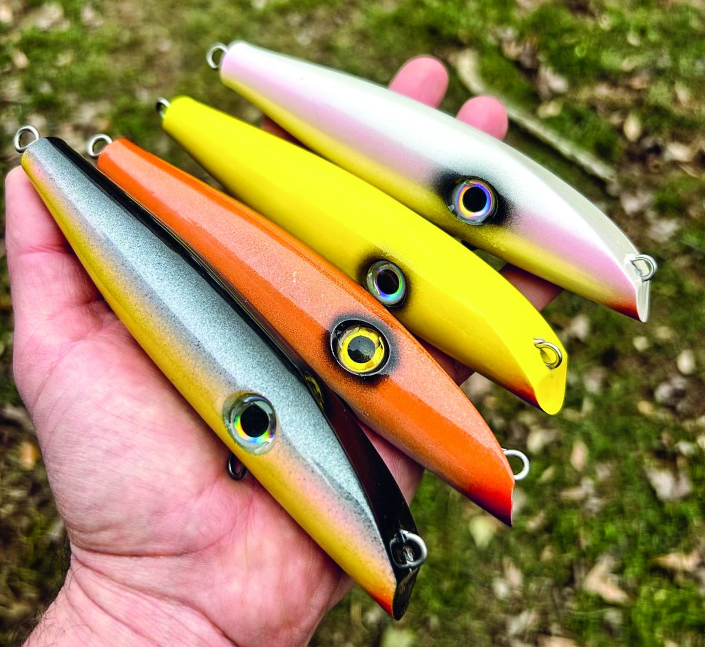 Steve Castelli's darters