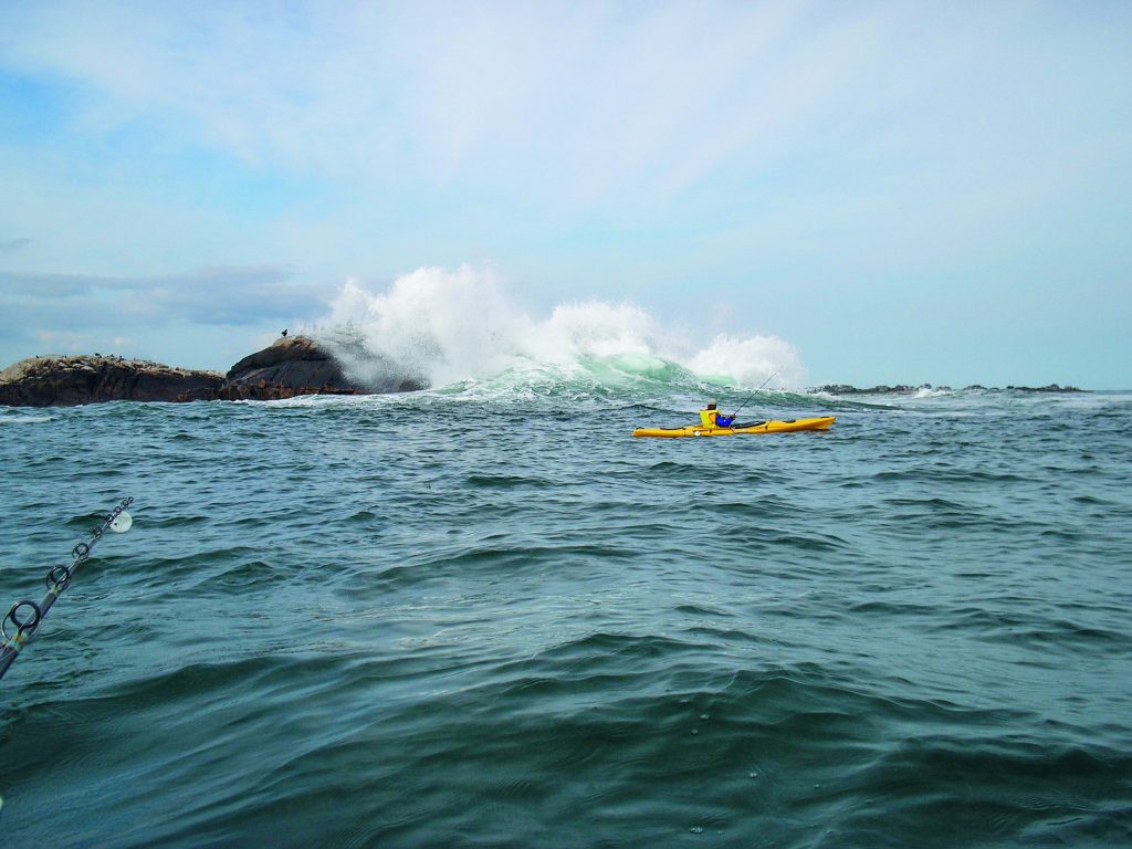 fishing the shoreline via kayak