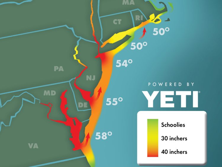 Striper Migration Map thumbnail May 05, 2024