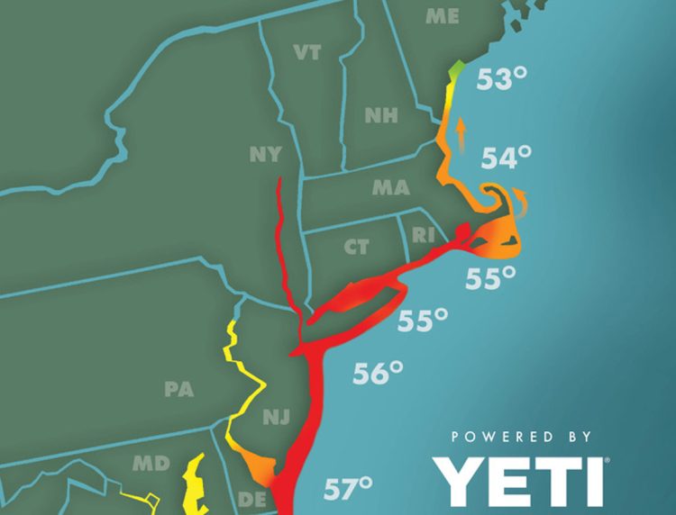 Striper Migration Map 2024-5-24
