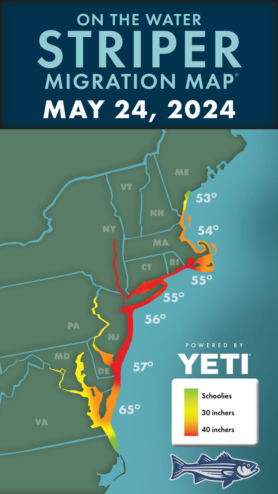 Striper Migration Map 2024-5-24