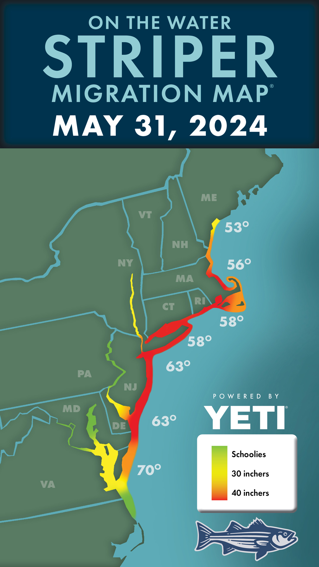 Striper Migration Map 2024-5-31
