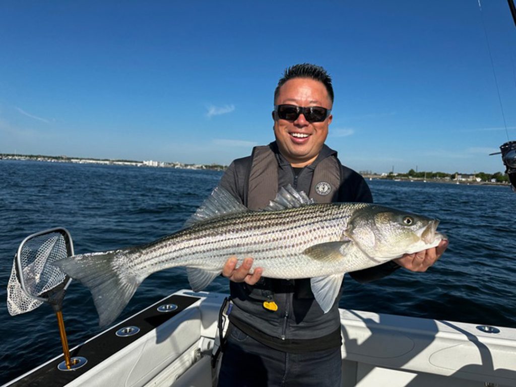 Tomo with striped bass