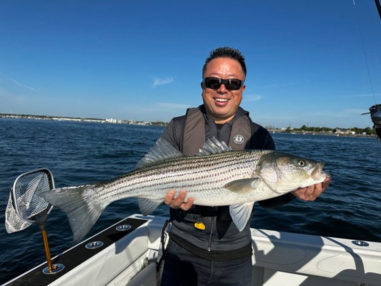 Tomo with striped bass