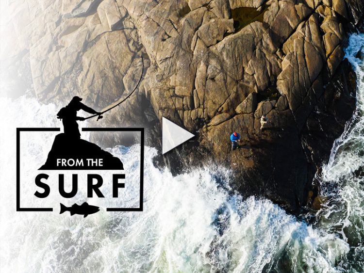 Surfcasting Striped Bass on the North Shore of Massachusetts