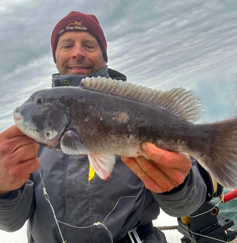 tautog