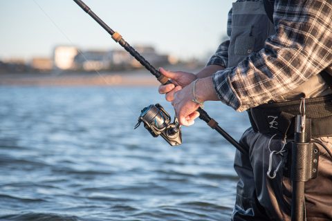 Quantum Reels are Back and Saltier than Ever