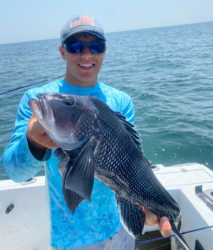black sea bass in Buzzards Bay