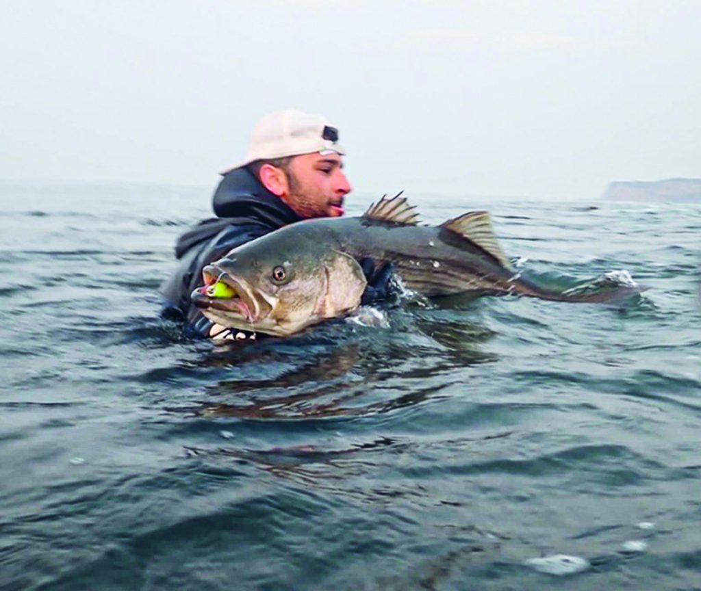 Sausele rock hopping
