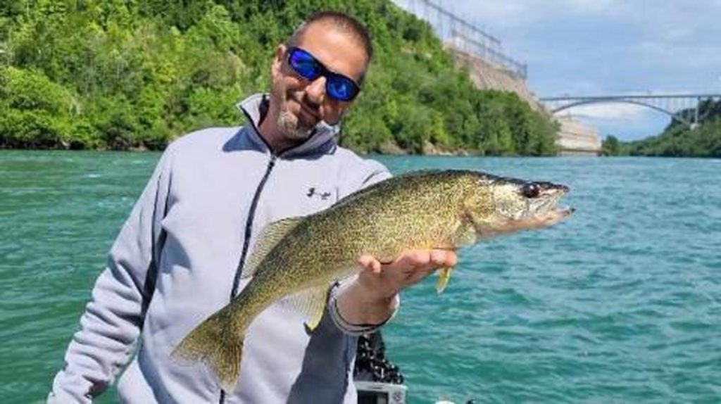 Capt. Dave Scipione with walleye