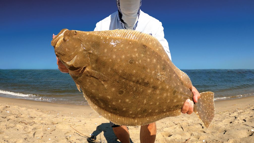 fluke fishing with jerkbaits