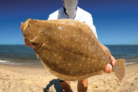 Fluke Fishing with Jerkbaits in the Back Bays