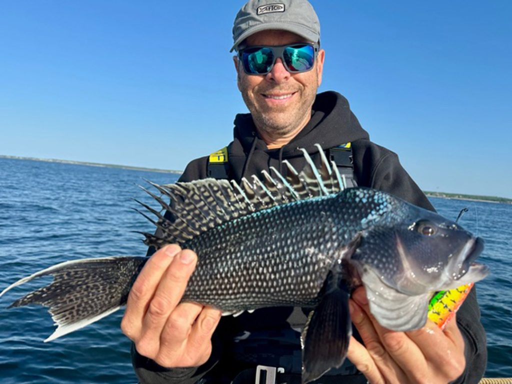 Little Sister seabass