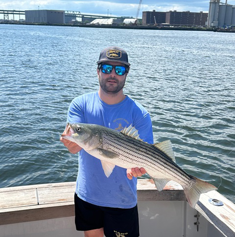 Reel Pursuit Charters slot striped bass