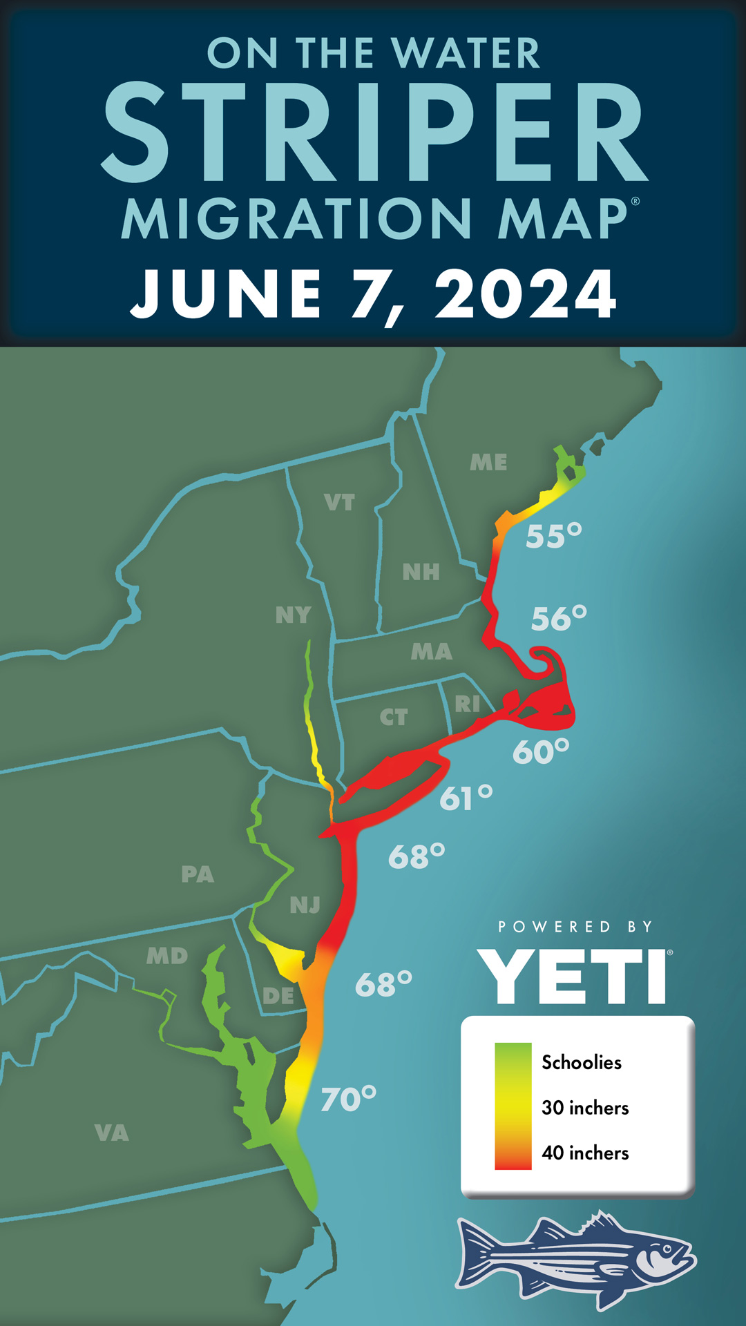 Striper Migration Map 2024-06-07