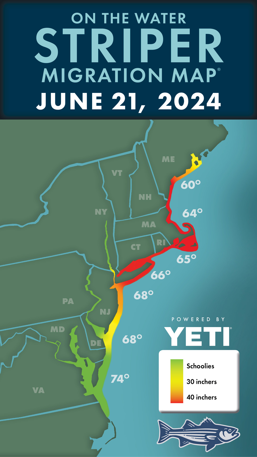 Striper Migration Map 2024-6-21