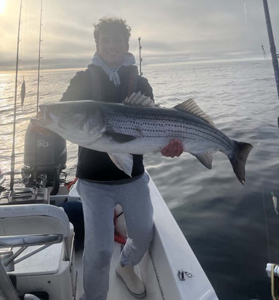striped bass