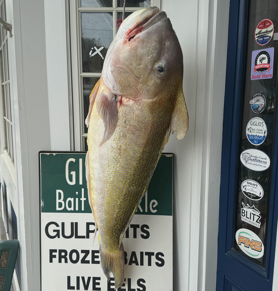 52-pound tilefish