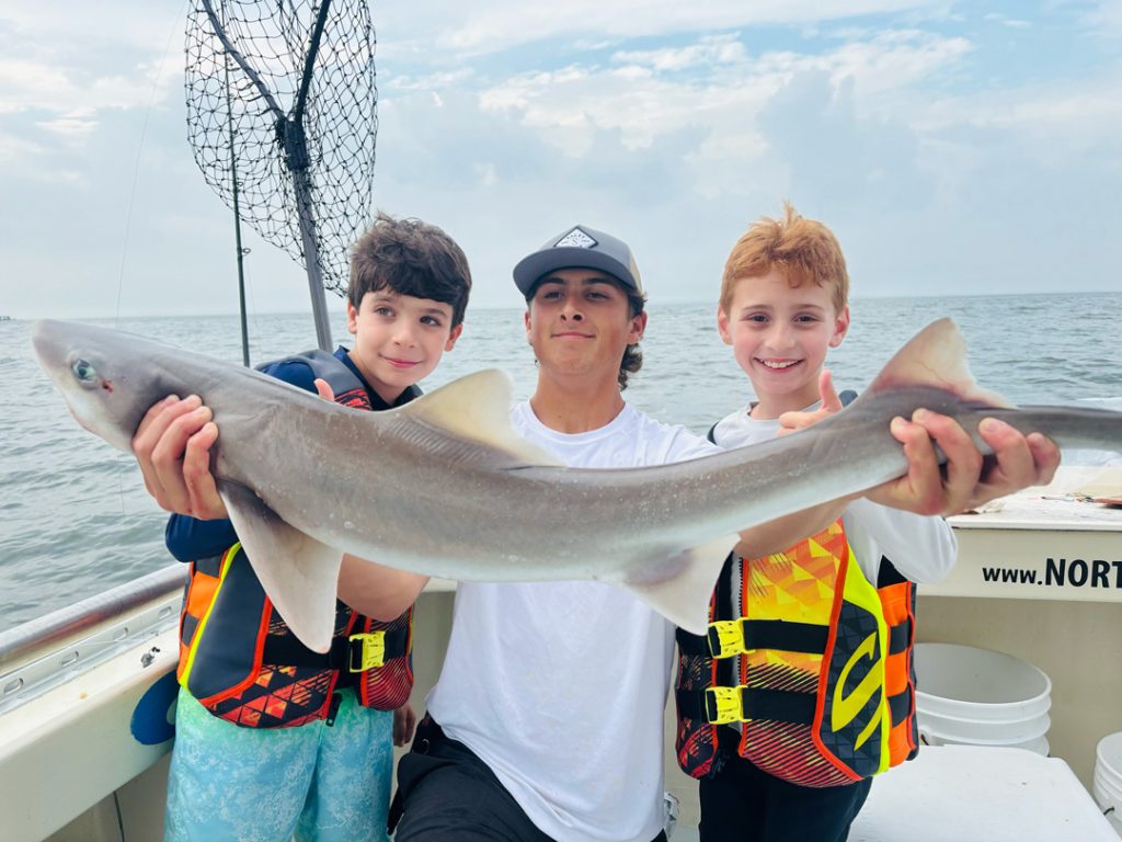 Northport Charters dogfish