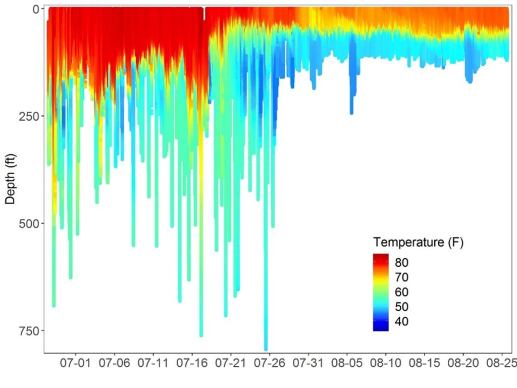 average depth preference of Atlantic yellowfin tuna