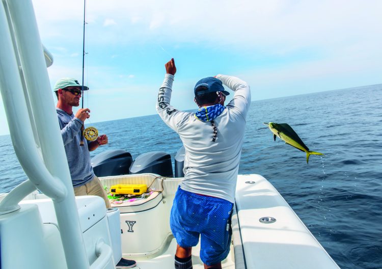 fly fishing for mahi