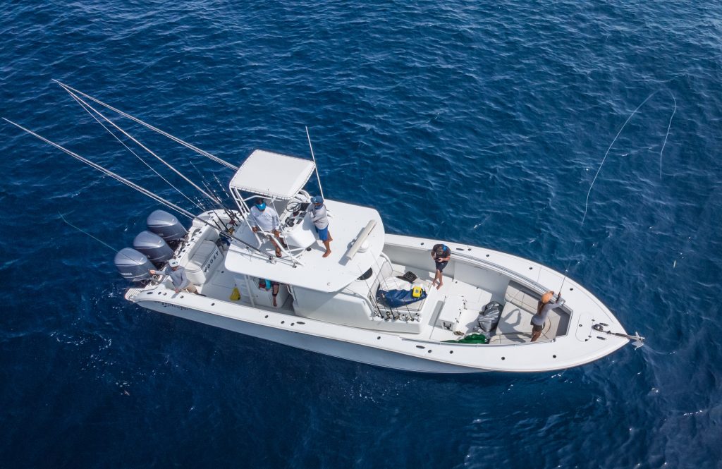 fly fishing for mahi