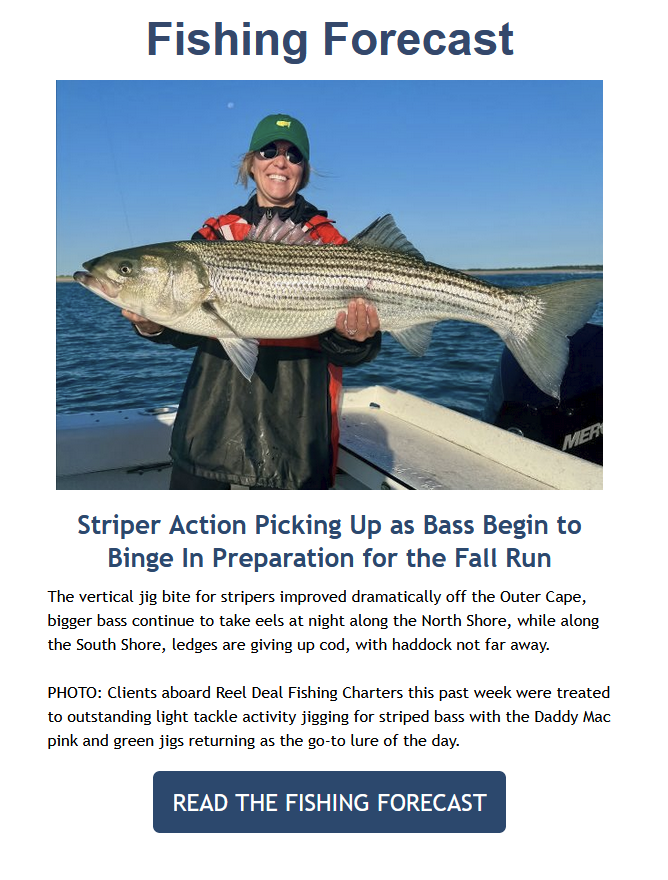 Fishing Reports Newsletter Example