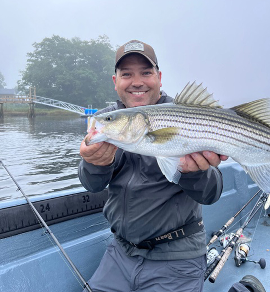 striped bass