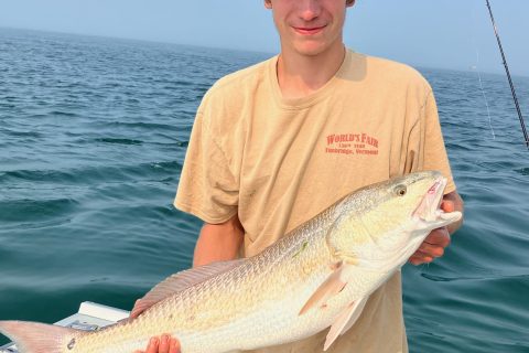 Angler Catches Rare Red Drum on Cape Cod
